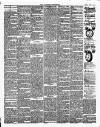 Nuneaton Chronicle Friday 03 April 1891 Page 3