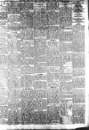 Irish Weekly and Ulster Examiner Saturday 19 February 1910 Page 11