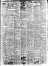 Irish Weekly and Ulster Examiner Saturday 15 March 1924 Page 3
