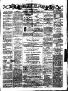 Ulster Echo Wednesday 23 June 1875 Page 1