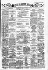 Ulster Echo Saturday 27 June 1885 Page 1