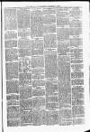 Ulster Echo Friday 08 January 1886 Page 3