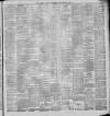 Ulster Echo Saturday 24 November 1894 Page 3