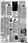 Ireland's Saturday Night Saturday 04 April 1981 Page 7