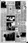 Ireland's Saturday Night Saturday 27 June 1981 Page 5