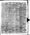 Cork Weekly News Saturday 06 June 1891 Page 3