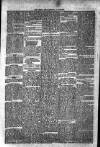 Dublin Weekly News Saturday 04 November 1865 Page 4