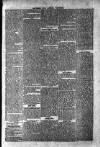 Dublin Weekly News Saturday 04 November 1865 Page 5