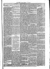 Dublin Weekly News Saturday 06 January 1866 Page 5