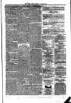 Dublin Weekly News Saturday 04 January 1868 Page 7