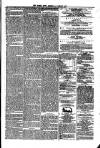 Dublin Weekly News Saturday 25 January 1868 Page 6