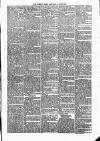 Dublin Weekly News Saturday 02 April 1870 Page 5