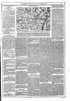 Dublin Weekly News Saturday 03 September 1870 Page 5