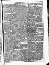 Dublin Weekly News Saturday 19 November 1870 Page 5