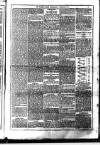 Dublin Weekly News Saturday 07 January 1871 Page 5