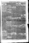 Dublin Weekly News Saturday 21 January 1871 Page 5