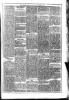 Dublin Weekly News Saturday 28 January 1871 Page 5