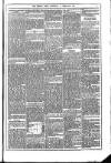 Dublin Weekly News Saturday 11 February 1871 Page 5