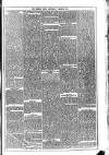 Dublin Weekly News Saturday 18 March 1871 Page 5