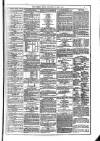 Dublin Weekly News Saturday 08 July 1871 Page 5