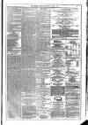 Dublin Weekly News Saturday 08 July 1871 Page 7