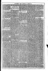 Dublin Weekly News Saturday 12 August 1871 Page 3