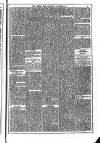 Dublin Weekly News Saturday 14 October 1871 Page 5