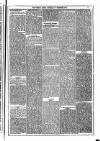 Dublin Weekly News Saturday 09 December 1871 Page 3