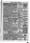 Dublin Weekly News Saturday 23 December 1871 Page 5