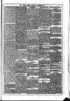 Dublin Weekly News Saturday 30 December 1871 Page 5