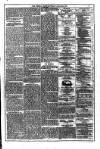 Dublin Weekly News Saturday 30 March 1872 Page 7