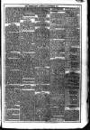 Dublin Weekly News Saturday 28 September 1872 Page 3