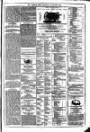 Dublin Weekly News Saturday 04 January 1873 Page 7