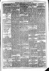 Dublin Weekly News Saturday 08 November 1873 Page 5