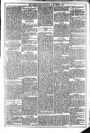 Dublin Weekly News Saturday 15 November 1873 Page 5