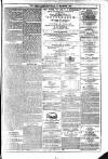 Dublin Weekly News Saturday 15 November 1873 Page 7
