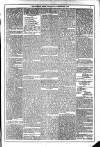 Dublin Weekly News Saturday 29 November 1873 Page 5