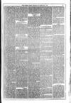 Dublin Weekly News Saturday 21 February 1874 Page 3