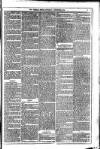 Dublin Weekly News Saturday 05 December 1874 Page 3