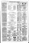 Dublin Weekly News Saturday 12 December 1874 Page 7