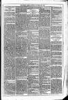 Dublin Weekly News Saturday 13 February 1875 Page 5