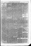 Dublin Weekly News Saturday 20 February 1875 Page 5