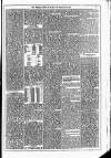 Dublin Weekly News Saturday 27 February 1875 Page 3