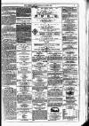 Dublin Weekly News Saturday 05 June 1875 Page 7