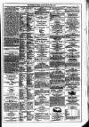 Dublin Weekly News Saturday 19 June 1875 Page 7