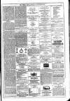 Dublin Weekly News Saturday 18 September 1875 Page 7