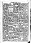 Dublin Weekly News Saturday 01 January 1876 Page 3