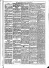 Dublin Weekly News Saturday 08 January 1876 Page 3