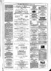 Dublin Weekly News Saturday 08 January 1876 Page 7