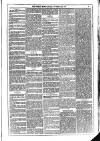 Dublin Weekly News Saturday 19 February 1876 Page 3